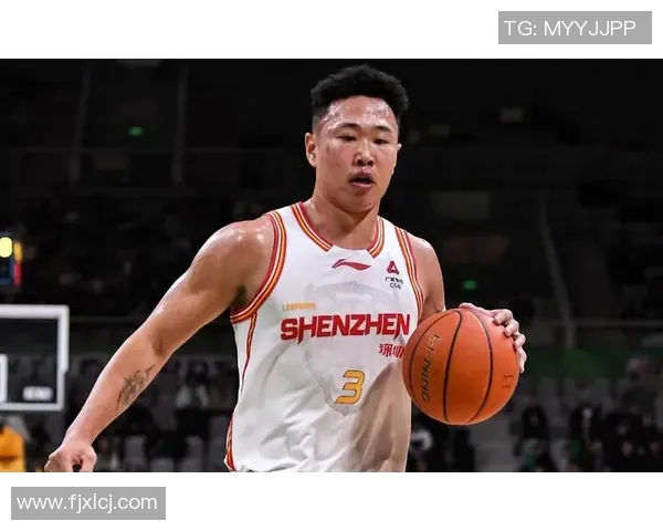 贺希宁：从篮球新星到职业生涯的辉煌之路探索与成长