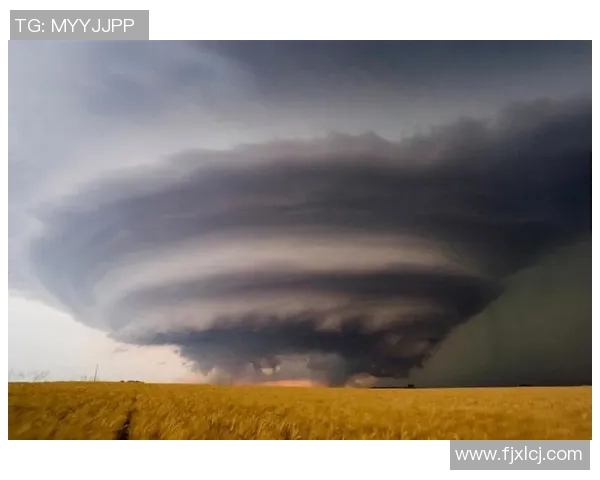 飓风来袭中的防卫与正义之辩:人性与自然的较量与思考