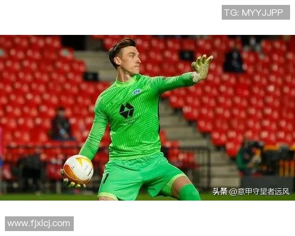 2017年埃尔夫与赫根精彩对决回顾及赛后分析